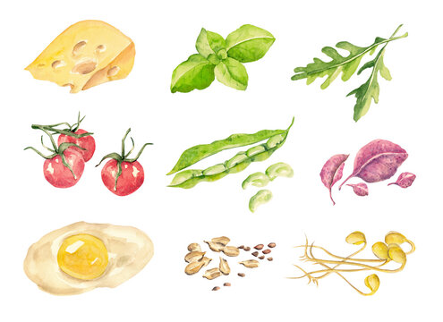 Illustrations of cheese, vegetables and seasonings. A selection of watercolor images for your design and creating more complex scenes