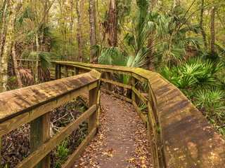 Angular boardwalk, accessible by wheelchair, along a wetland nature trail on the campus of...