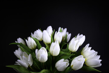 A bunch of white tulips on black background