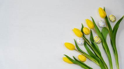 Easter concept with easter eggs and yellow tulips on a white background.