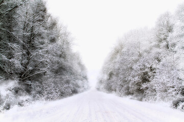 - 2. gray, foggy day in the Latvian countryside
