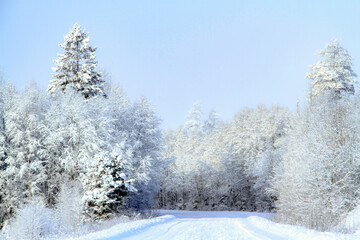 - 1. a white winter day in the Latvian countryside