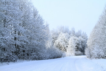 - 7. Latvian white winter landscape with country road