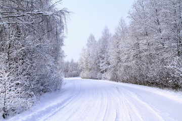 - 8 Latvian white winter landscape with country road