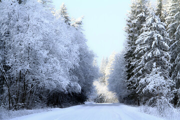 - 7. Latvia's white winter landscape with country road