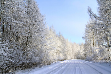 - 10. Latvian white winter landscape with country road