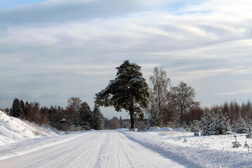 - 9 Latvian white winter landscape with country road