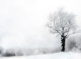 - a gray, foggy day in the Latvian countryside