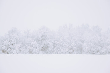 Snow covered trees, winter landscape - 715645419