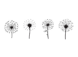 
dandelion vector design illustration isolated on white background
