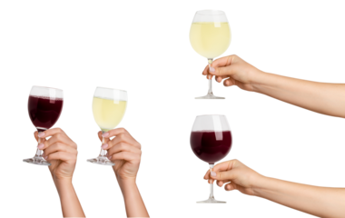 Kit. A woman's hand holds. Glass with white and red wine. On a blank background