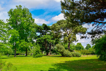 Park in spring with freshly mown grass