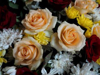 bouquet of roses