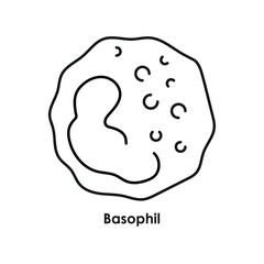 Basophil color icon. White blood cells in the blood vessels.