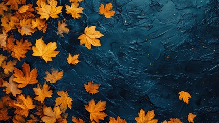 Obraz premium Autumn background. bright yellow-orange fallen maple leaves in dark blue water. autumn atmosphere image. symbol of fall season. flat lay. template for design