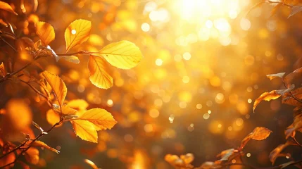 Tuinposter Beautiful blurred autumn background with yellow-gold leaves in the rays of sunlight on a dark natural background. © buraratn