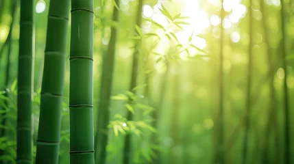 Keuken spatwand met foto Blurred images of bamboo forest Bamboo Background © buraratn