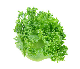 Obraz premium Green lettuce transparent png