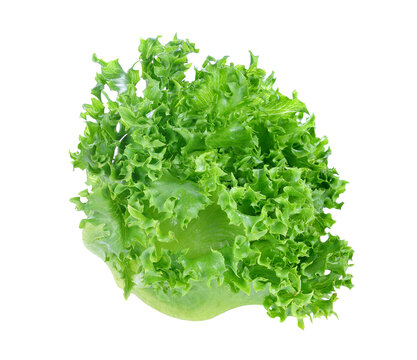 Green lettuce transparent png