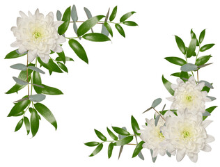 Decorative composition of white chrysanthemum flowers and green leaves