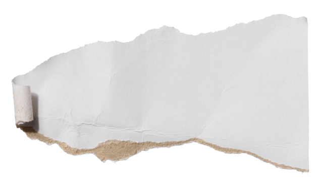 Torn piece of white cardboard with torn edges on an isolated background