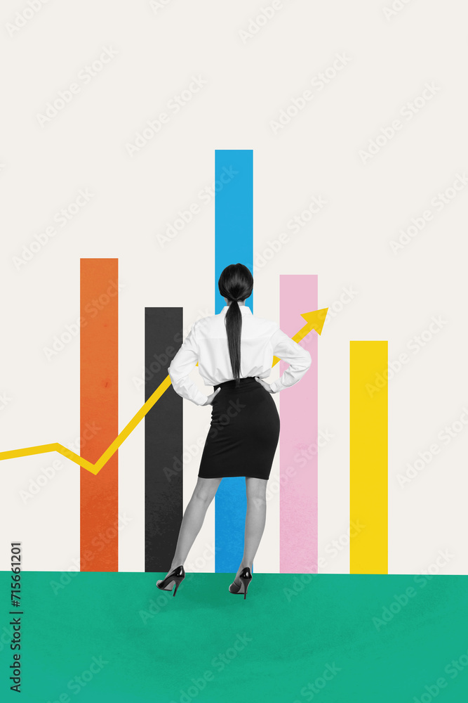 Canvas Prints Collage artwork image of successful professional lady looking analyzing statistics isolated on drawing background