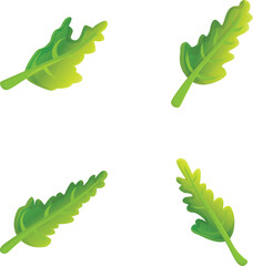 Arugula icons set cartoon vector. Fresh green arugula leaf. Organic vegetable, salad ingredient