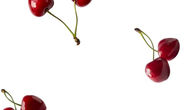 Falling cherryberries isolated on white. Background of cherry fruit. Sweet cherries isolated on white background cutout. 