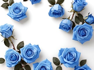 Background full of beautiful blue roses