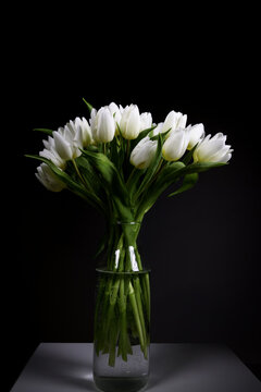 A bunch of white tulips on black background in transparent glass vase