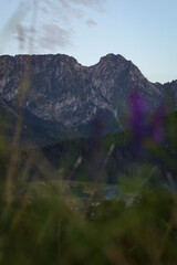 Szczyt Giewontu górujący nad podtatrzańskimi łąkami i lasami. The Giewont peak towering above the Tatra meadows and forests.