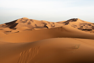 Desert with Quad footprints