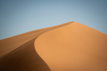 Fototapeta na wymiar perfect dune in the desert