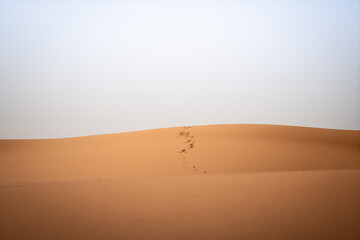 Footprints in a dune