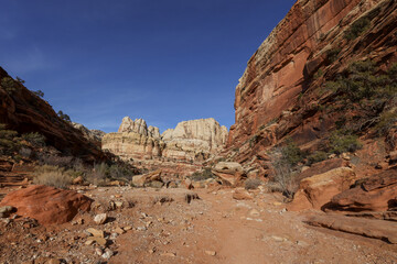 Fototapeta premium Scenic Landscape in Capitol Reef National Park Utah