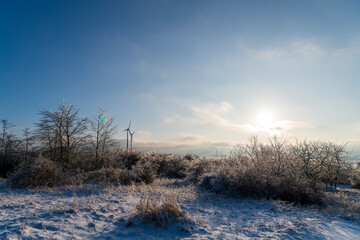 winter landscape with trees and snow