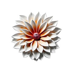 Elegant Wall Art of a Blossoming Flower with White and Orange Petals, Detailed Texture, Isolated on White Background