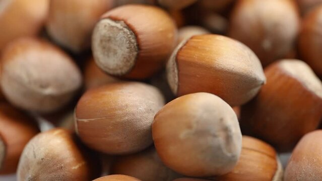Hazelnuts close up. heap or stack of hazelnuts. Hazelnut background, healty food.