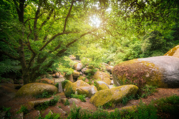 foret et chaos de huelgoat dans le finistere, entrée du lieux dit le ménage de la vierge © jmbreizh