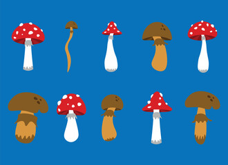 mushroom vector design illustration isolated on white background