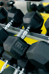 Obraz premium close-up many sports dumbbells on the rack in the gym equipment for training with different weights