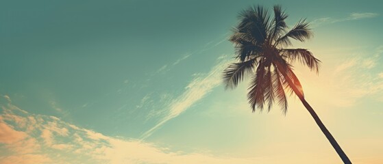 Obraz premium Coconut tree against the sky. Generative ai