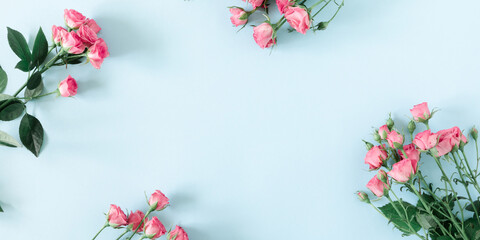 Beautiful flowers composition. Pink rose flowers on pastel blue background. Valentines Day, Easter, Happy Women's Day, Mother's day. Flat lay, top view, copy space