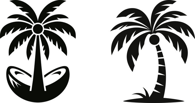 simple and modern coconut tree vector collection