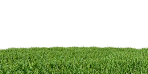 Foto op Plexiglas Green grass isolated on white background © Buffstock