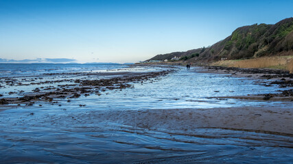 Ayrshire beach in winter