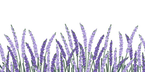 Seamless Border  with Lavender Flowers