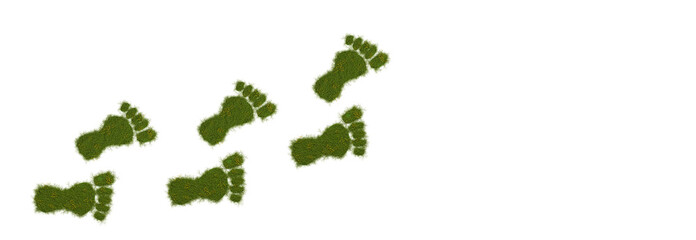3d render of an ecological footprint, grassy footprint on a white background