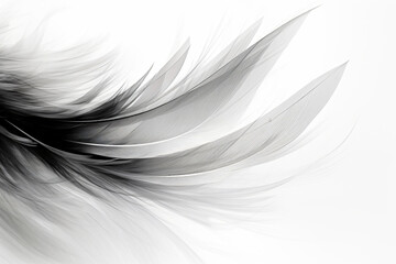 abstract lines, in the style of detailed feather rendering, smokey background, minimalist monochromes, composition, sparse backgrounds