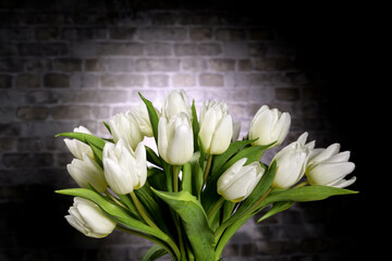 White tulip flowers in the light and natural bricks wall background